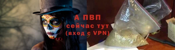 стафф Арсеньев