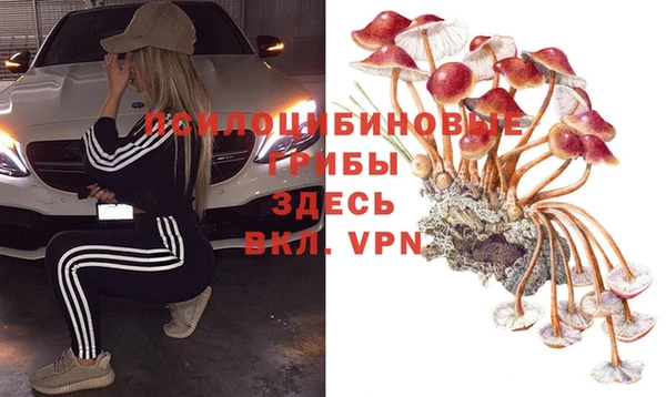 стафф Арсеньев