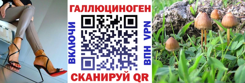 Псилоцибиновые грибы мицелий  Купить где  Славск 